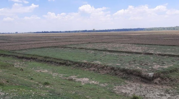 Banke Narayanpur declared dry area due to lack of water due to lack of planting